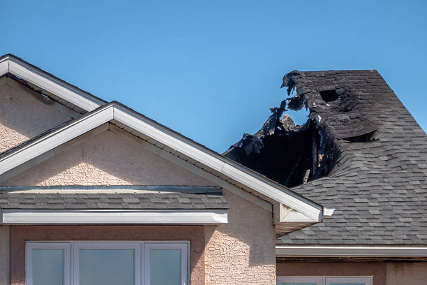 Top rated local Board Up Services specialists in Bellevue, WI